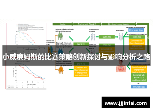 小威廉姆斯的比赛策略创新探讨与影响分析之路